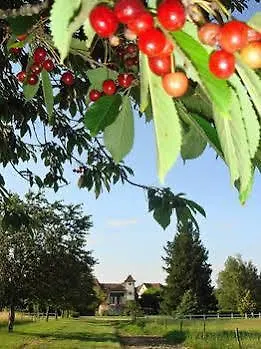Bed & Breakfast Domaine De Borie Chambres D'Hotes Bretenoux Frankrig
